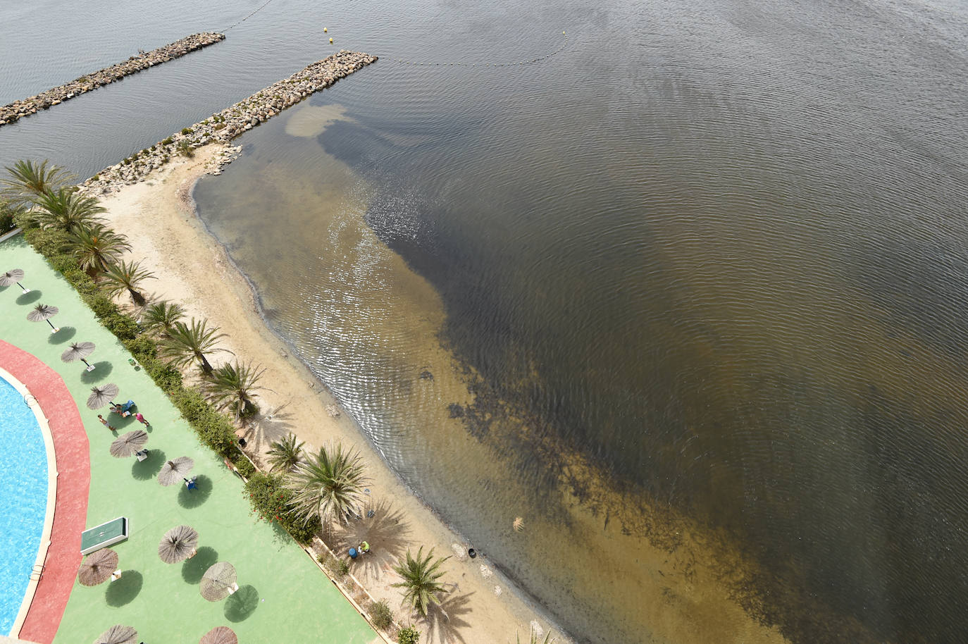Fotos: Nuevo cierre de playas al cumplirse una semana con peces muertos en el Mar Menor