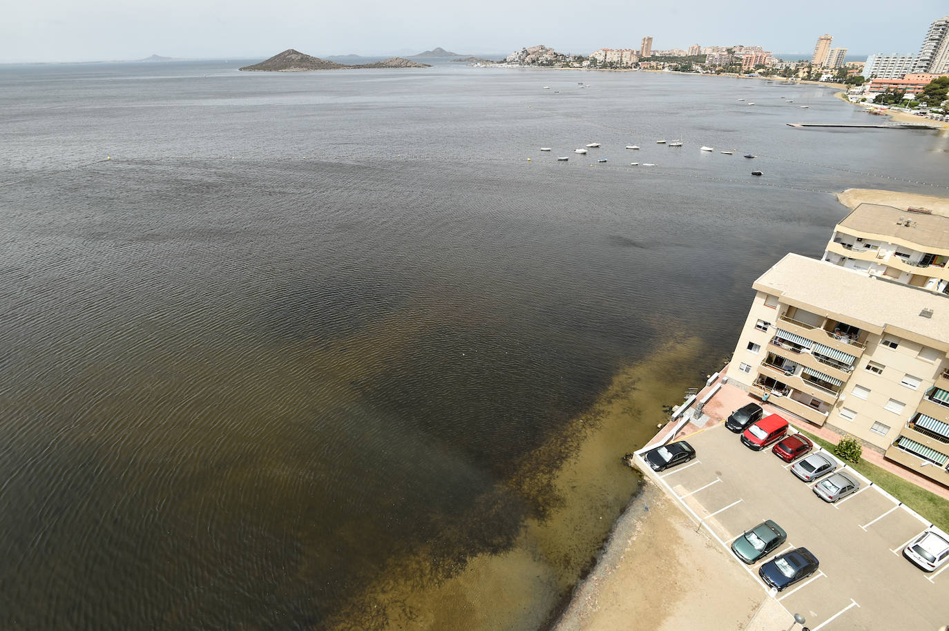 Fotos: Nuevo cierre de playas al cumplirse una semana con peces muertos en el Mar Menor