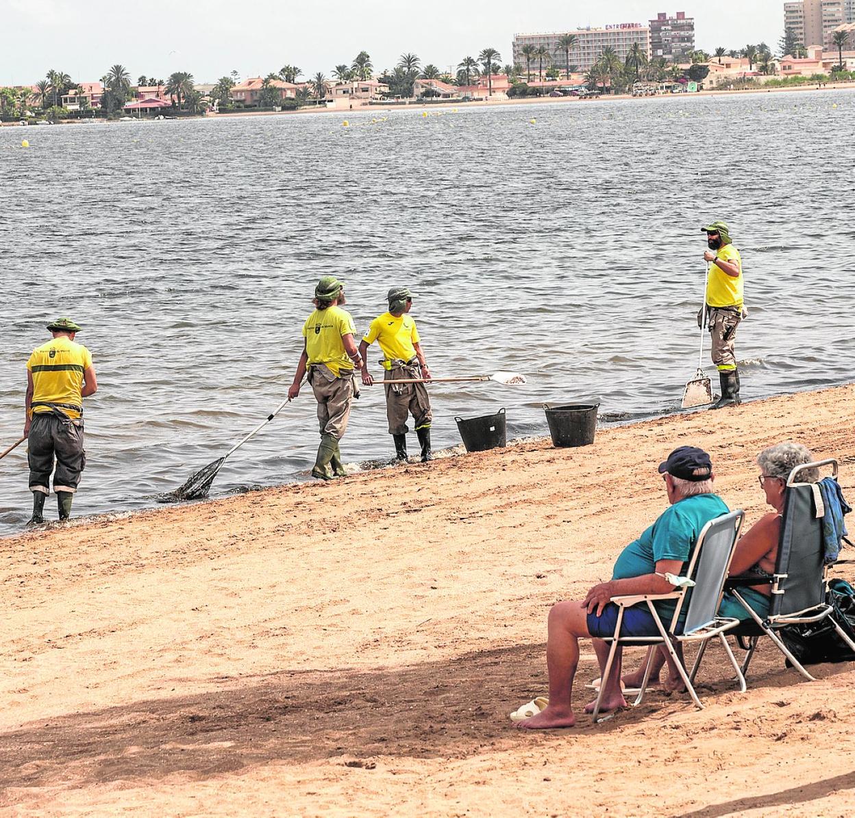 Dos veraneantes siguen desde sus silletas la retirada de peces muertos ayer en Playa Honda. 