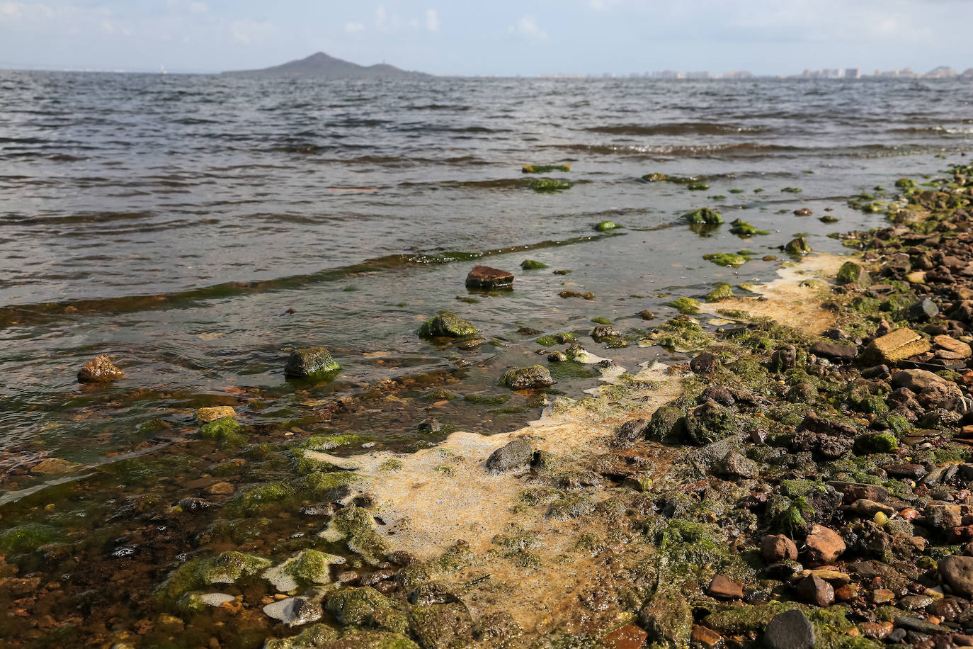 Fotos: Estado del Mar Menor durante el nuevo episodio de mortandad de peces