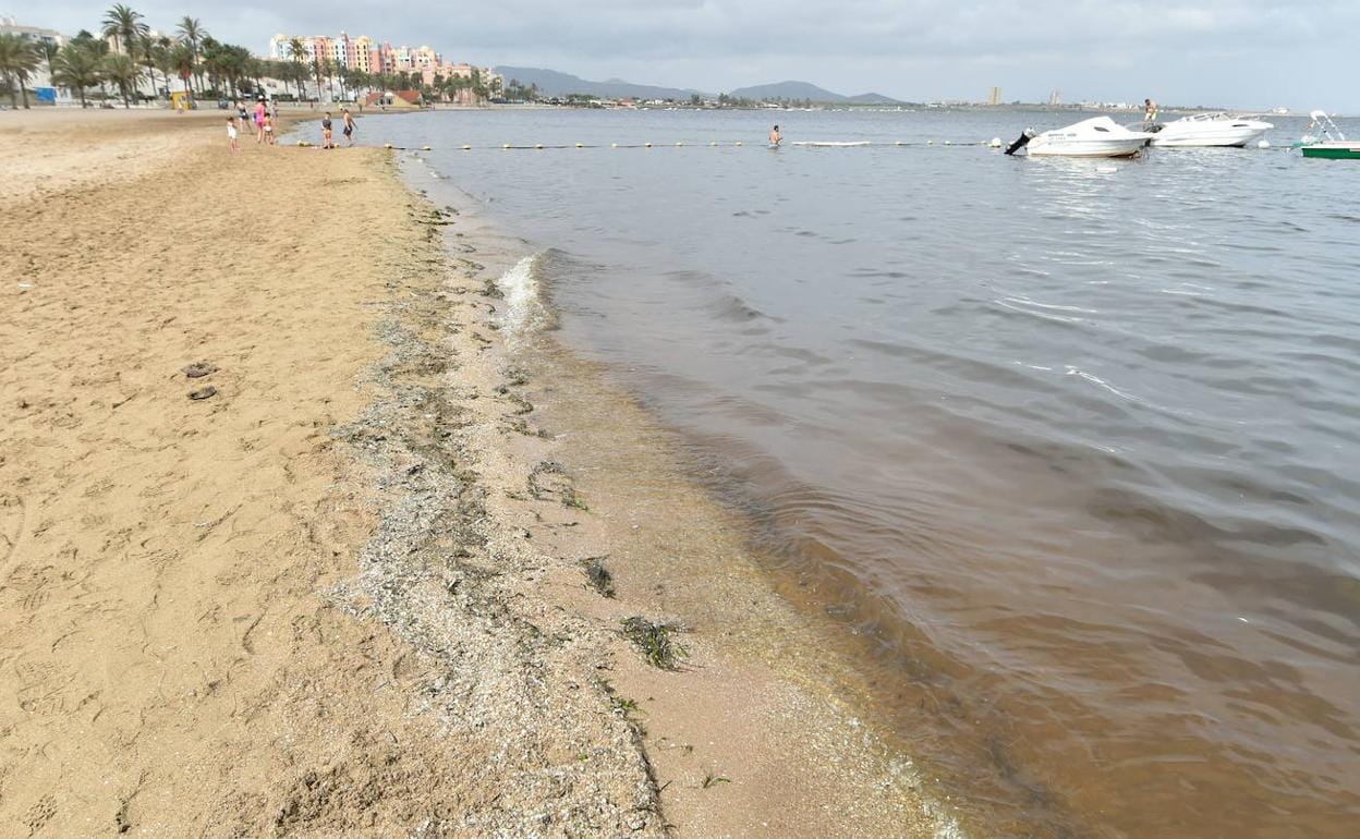 Una de las playas afectadas por la aparición de peces muertos en La Manga, en una imagen de archivo. 
