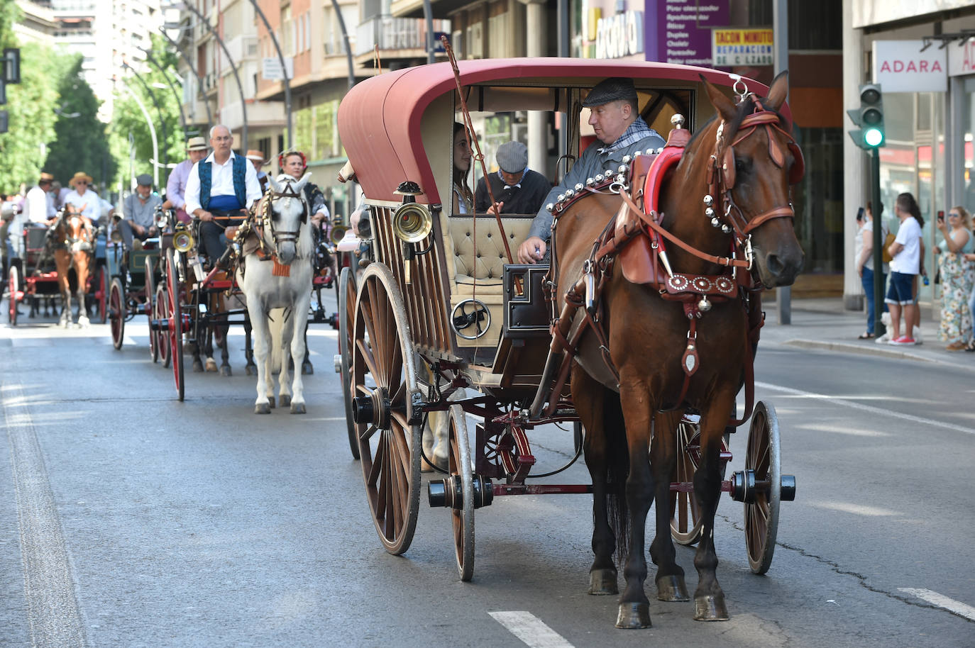 Fotos: Caballos y carretas toman Murcia