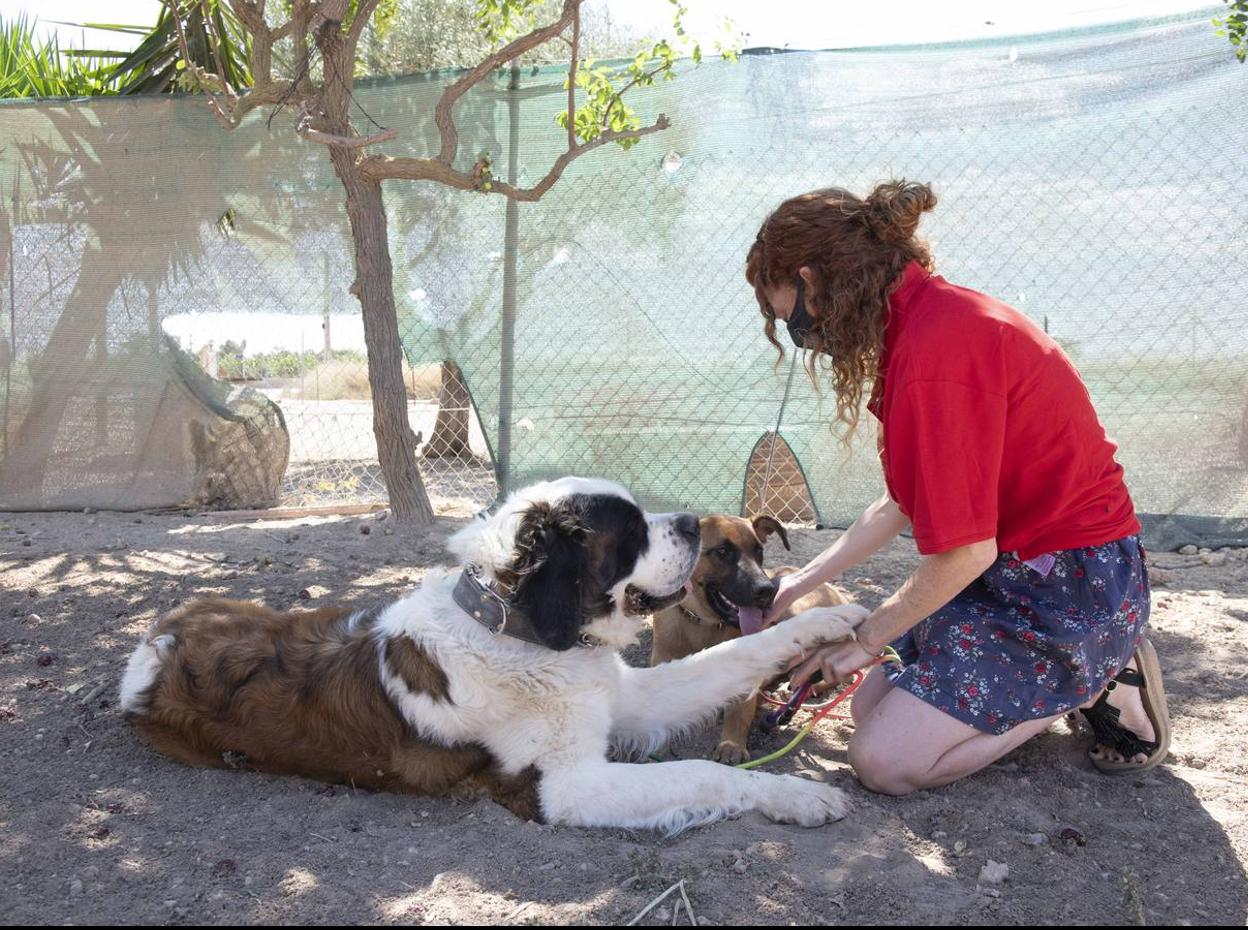 María, ayer, con sus dos canes, en el centro de adiestramiento de la asociación Proyecto Ecan. 