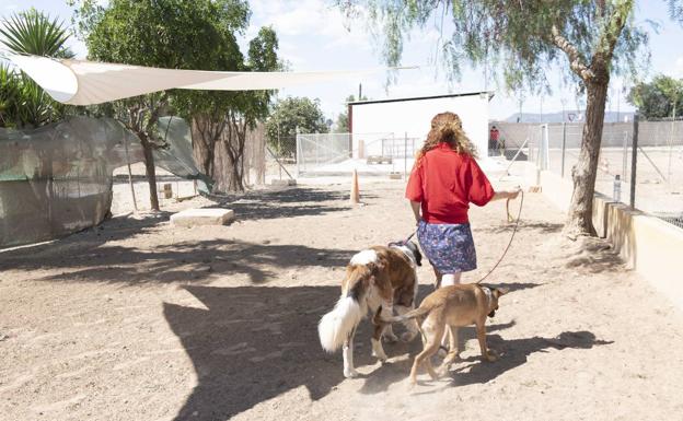 María, ayer, con sus dos canes, en el centro de adiestramiento de la asociación Proyecto Ecan. 
