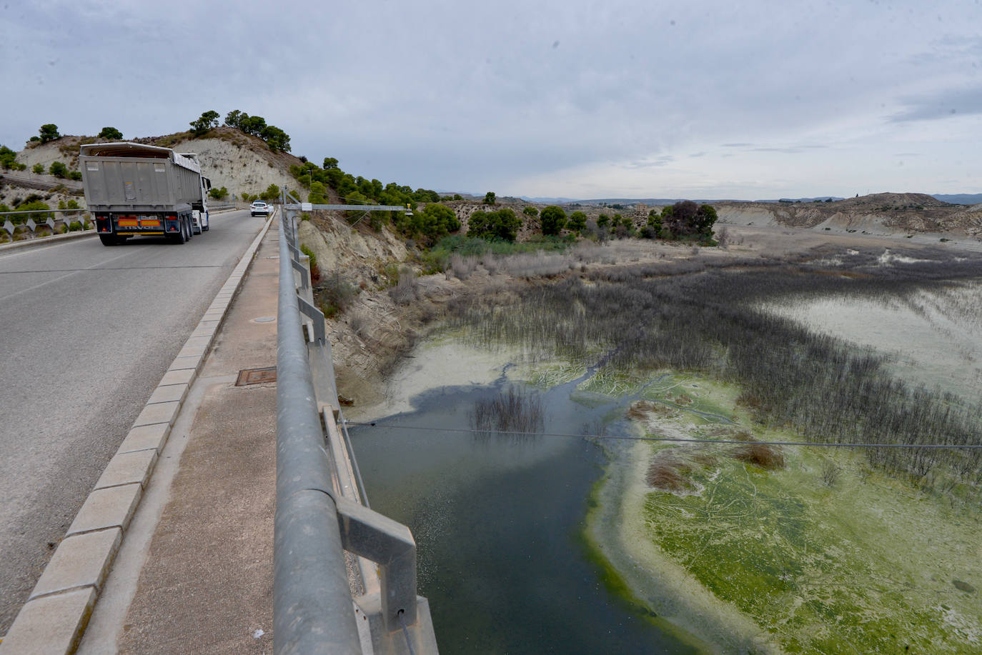 Fotos: Mueren miles de peces en el embalse de Los Rodeos
