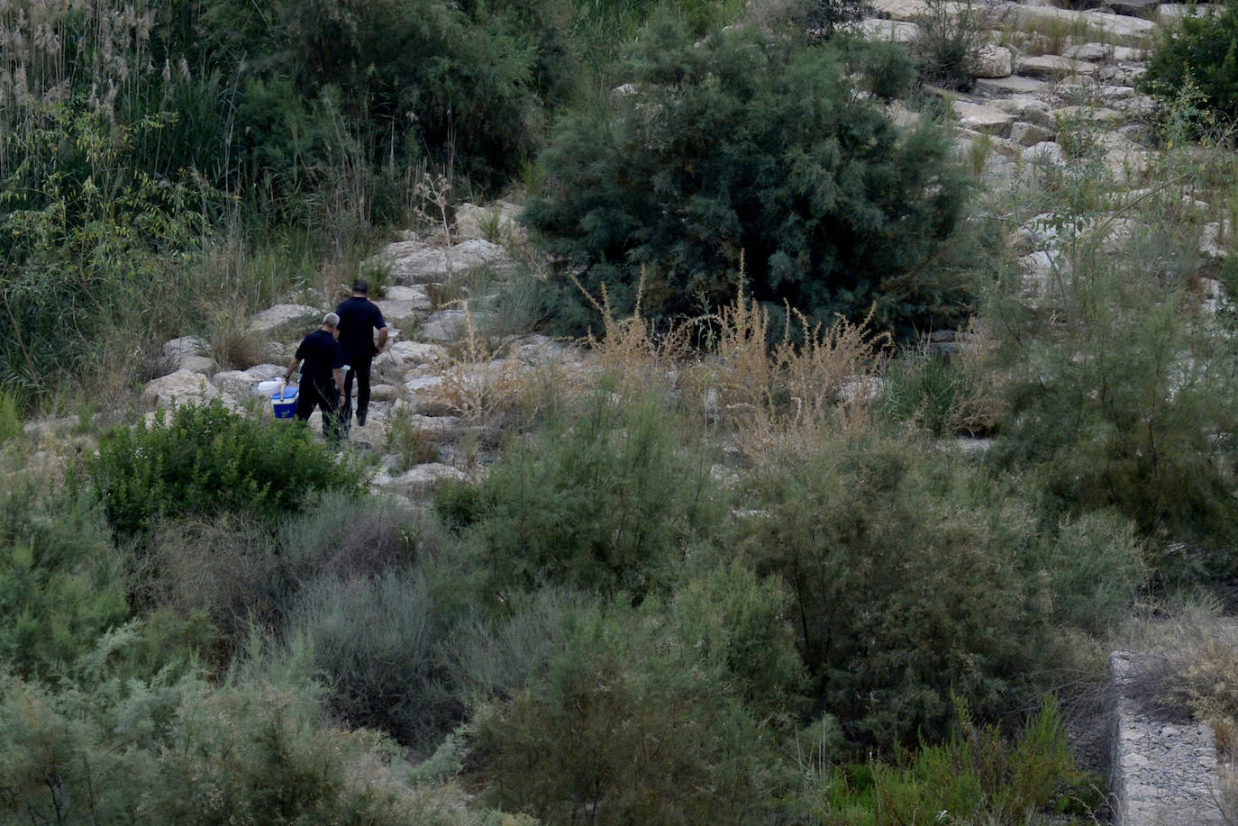 Fotos: Mueren miles de peces en el embalse de Los Rodeos