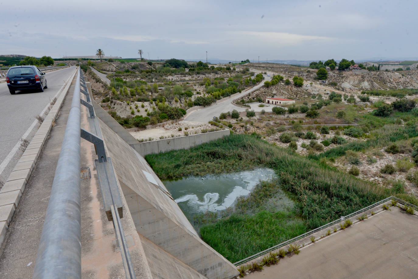Fotos: Mueren miles de peces en el embalse de Los Rodeos