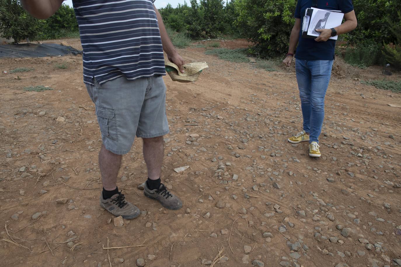 Fotos: Cultivos bajo control en la zona del Mar Menor