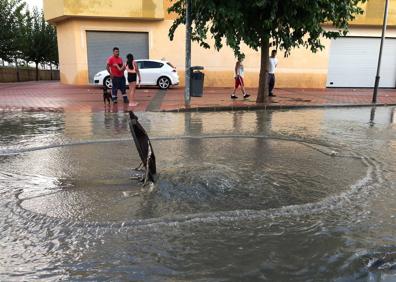 Imagen secundaria 1 - La tormenta inunda calles y derriba árboles en Alhama