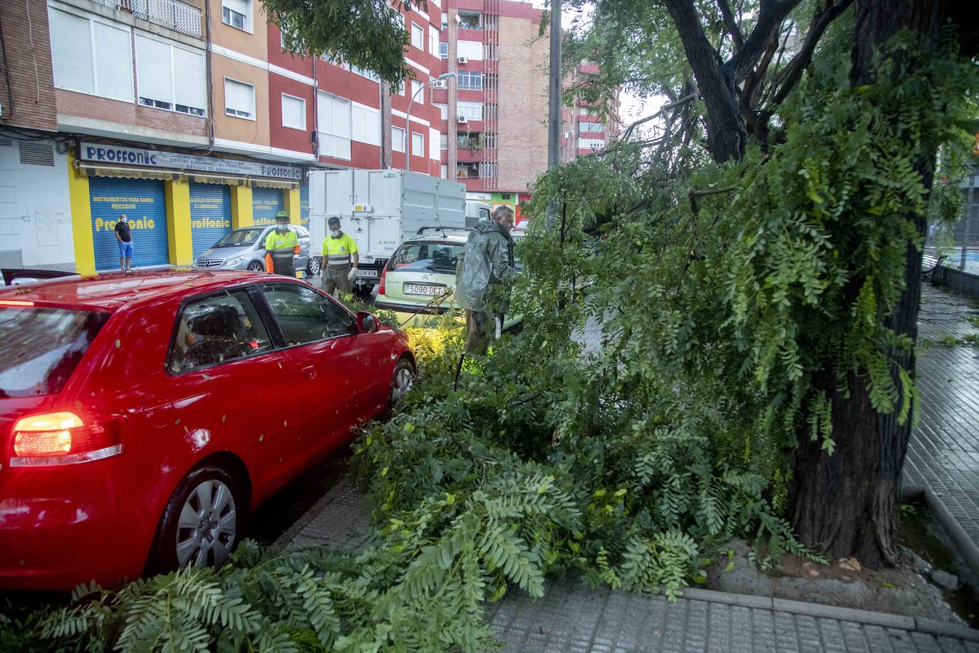 Fotos: Un fuerte aguacero derriba árboles y anega calles en Cartagena