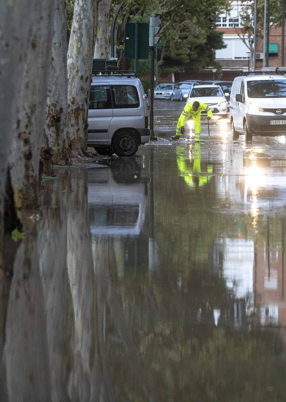 Fotos: Un fuerte aguacero derriba árboles y anega calles en Cartagena