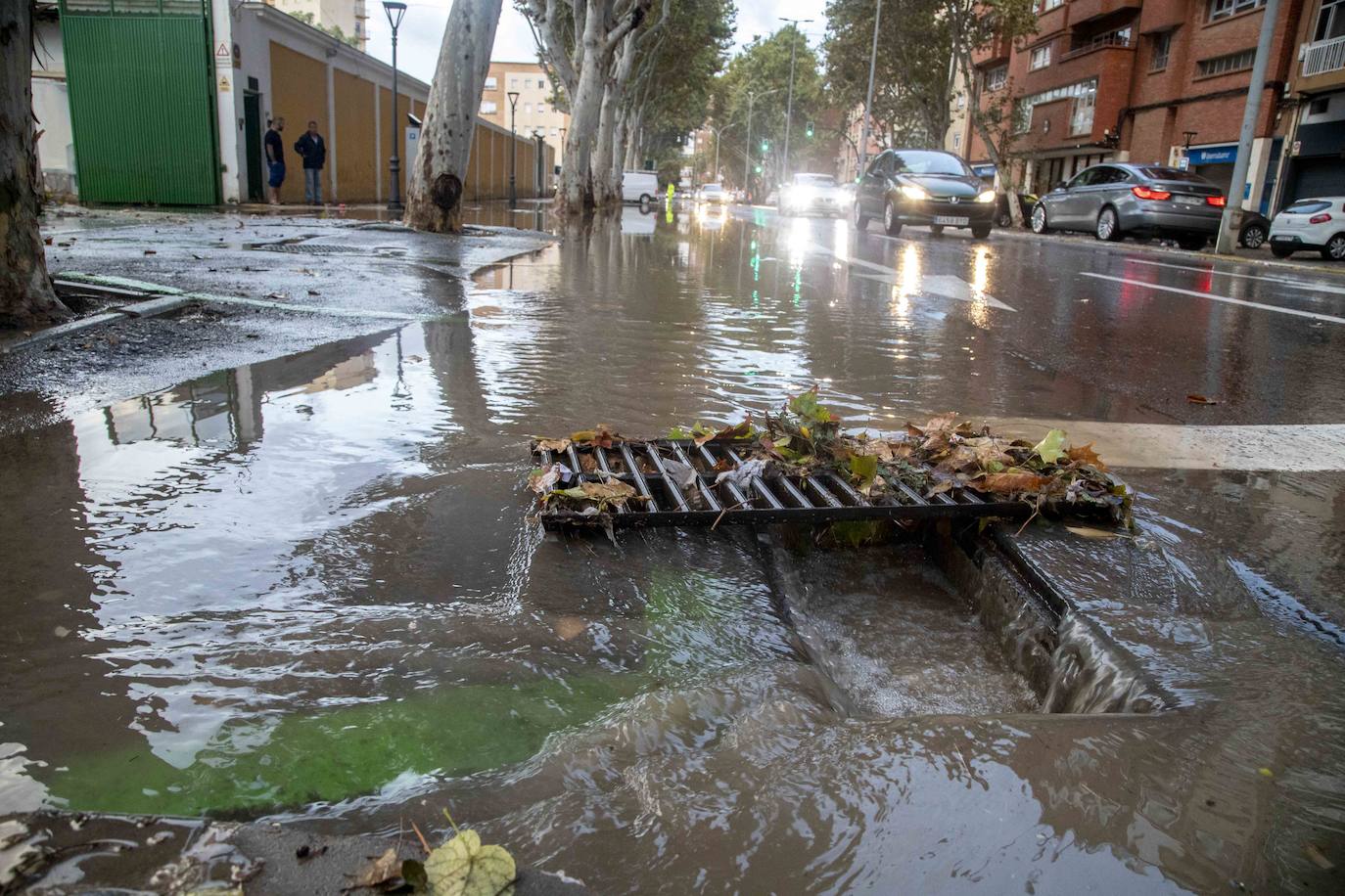 Fotos: Un fuerte aguacero derriba árboles y anega calles en Cartagena