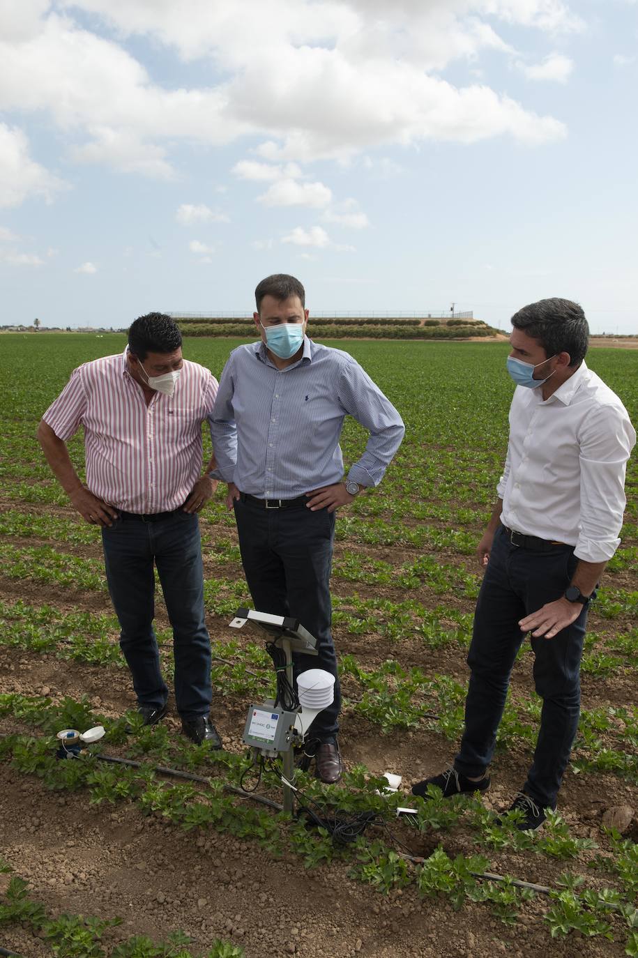 Fotos: Más de 200 sondas controlan el riego para reducir el impacto en el Mar Menor