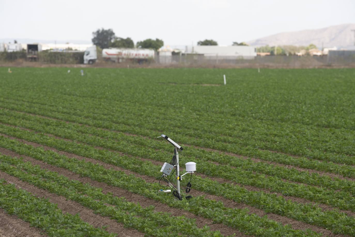 Fotos: Más de 200 sondas controlan el riego para reducir el impacto en el Mar Menor