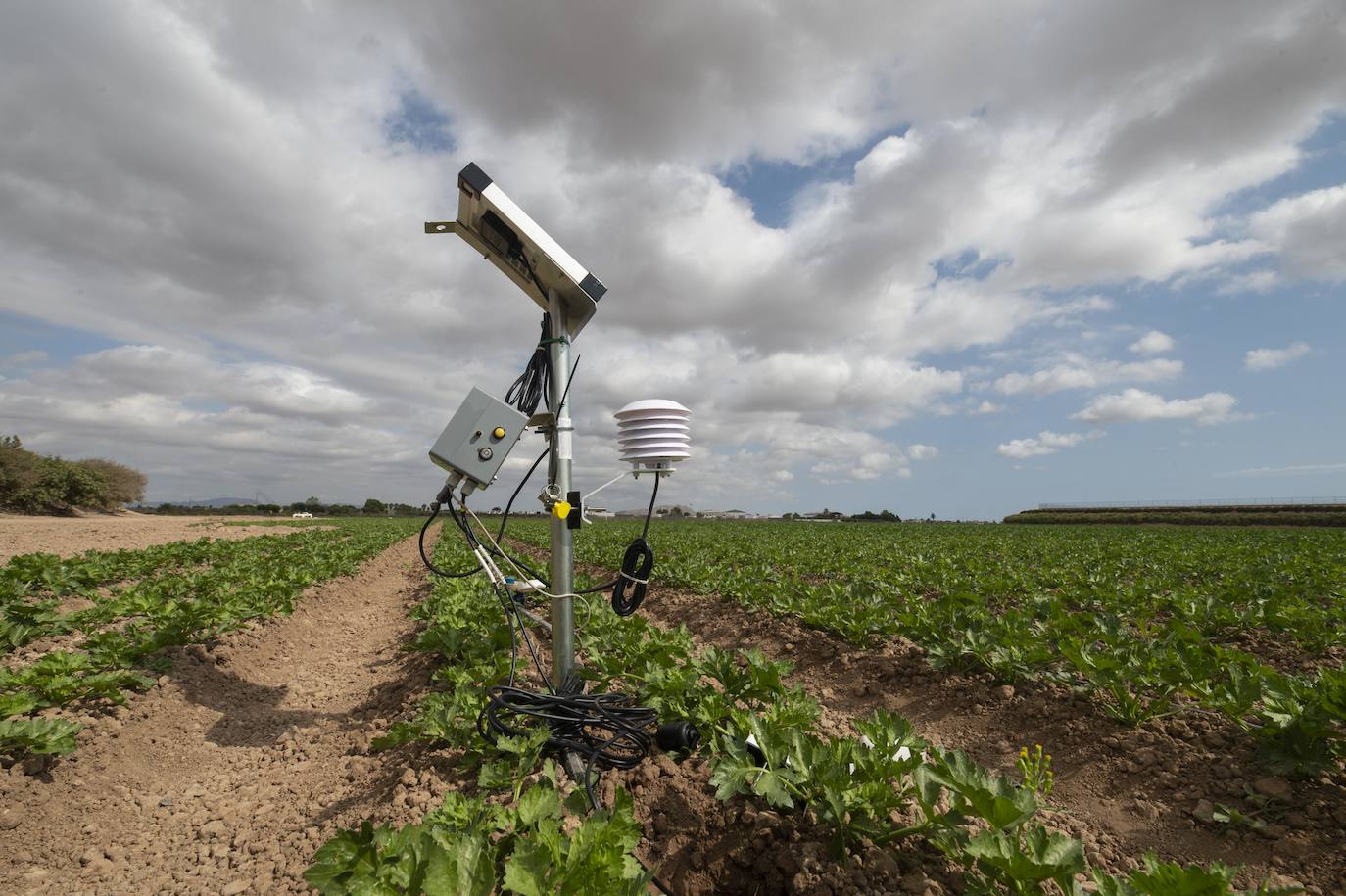 Fotos: Más de 200 sondas controlan el riego para reducir el impacto en el Mar Menor