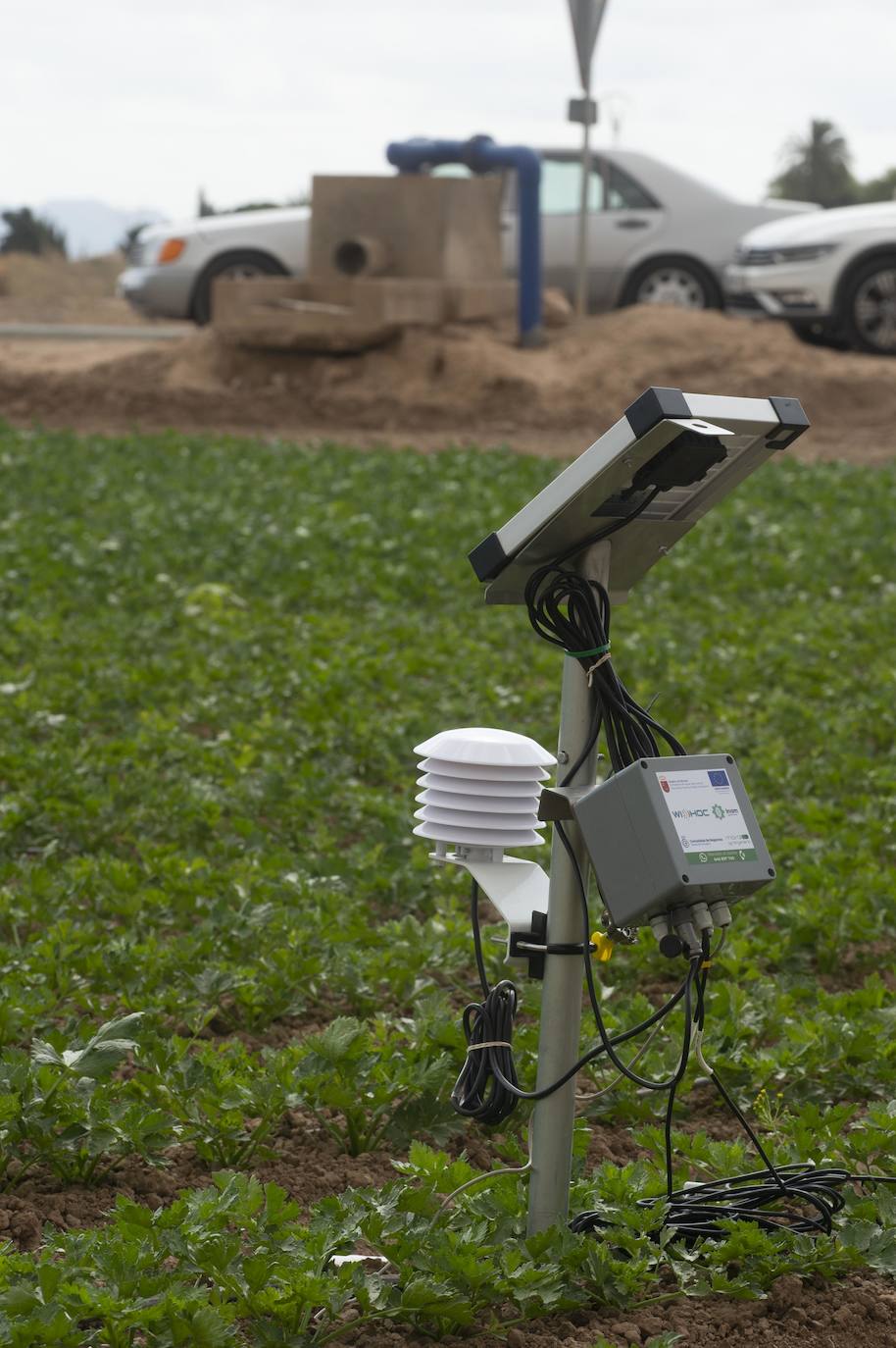 Fotos: Más de 200 sondas controlan el riego para reducir el impacto en el Mar Menor
