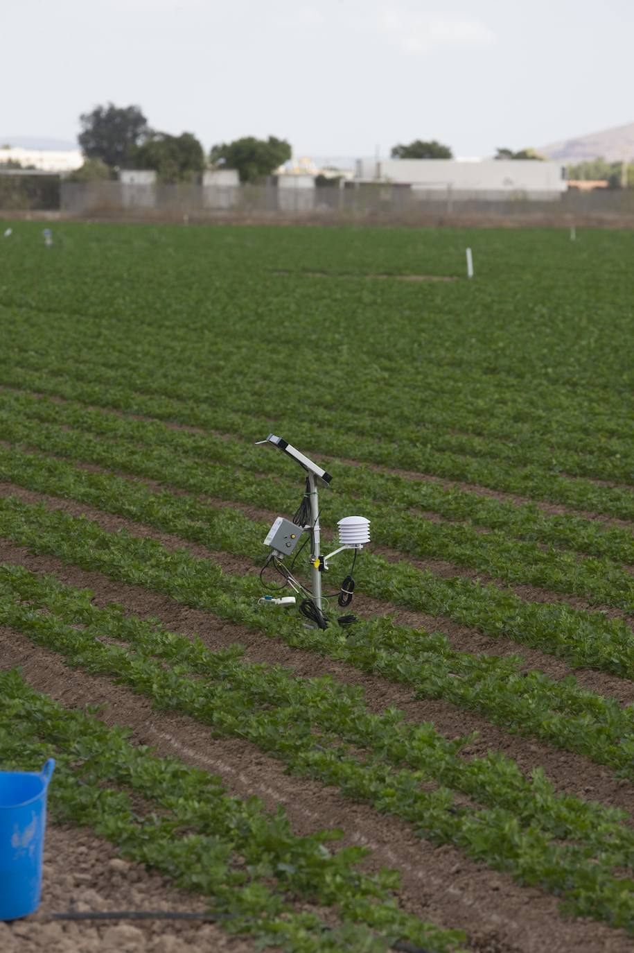 Fotos: Más de 200 sondas controlan el riego para reducir el impacto en el Mar Menor