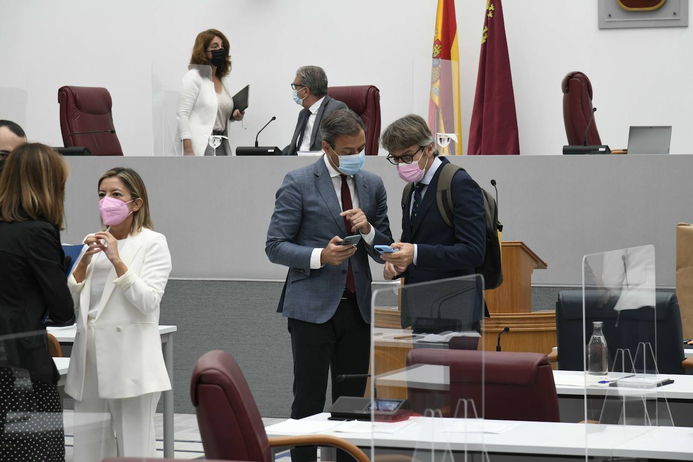 Fotos: El servicio ferroviario se discute en le Pleno de la Asamblea Regional