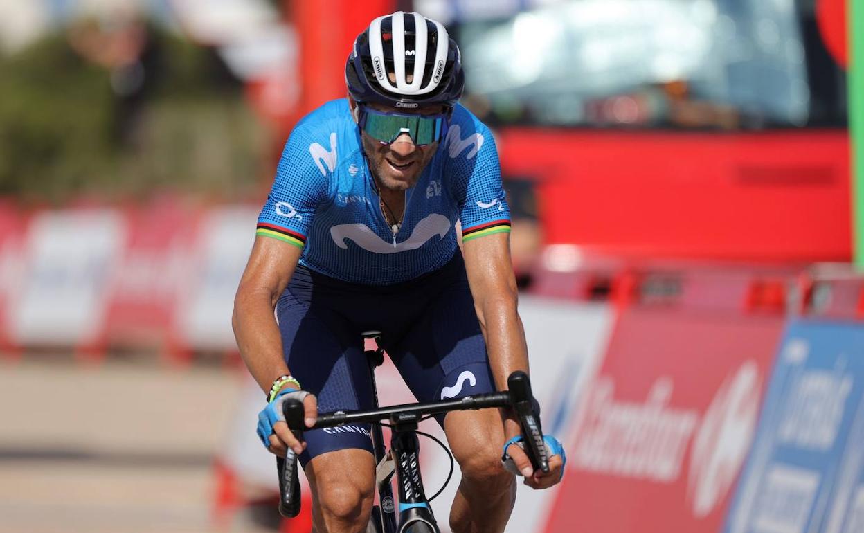 Alejandro Valverde, durante una etapa de la Vuelta a España de este año.