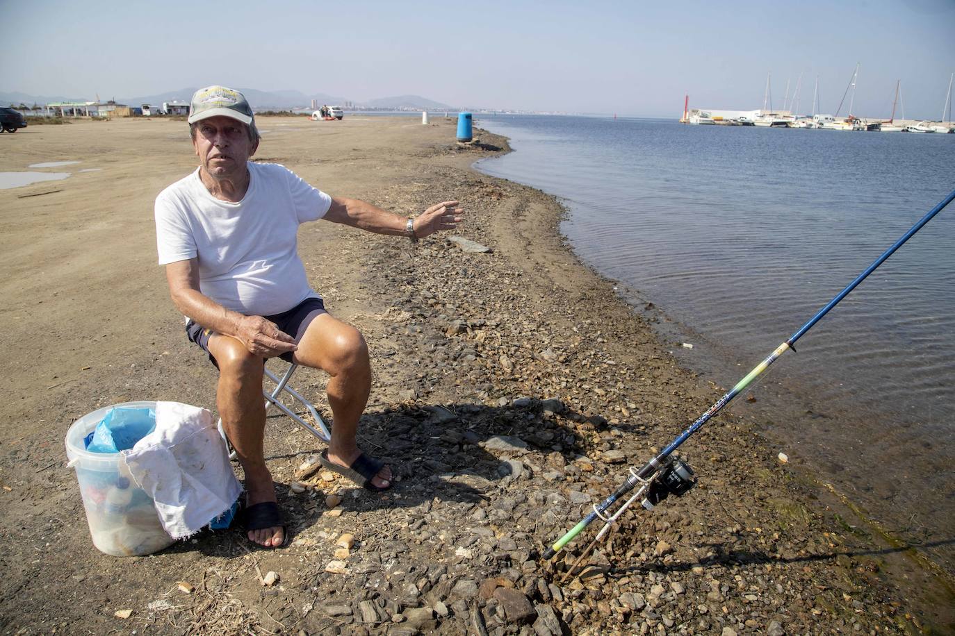 Fotos: La anoxia del Mar Menor que se sufre en tierra