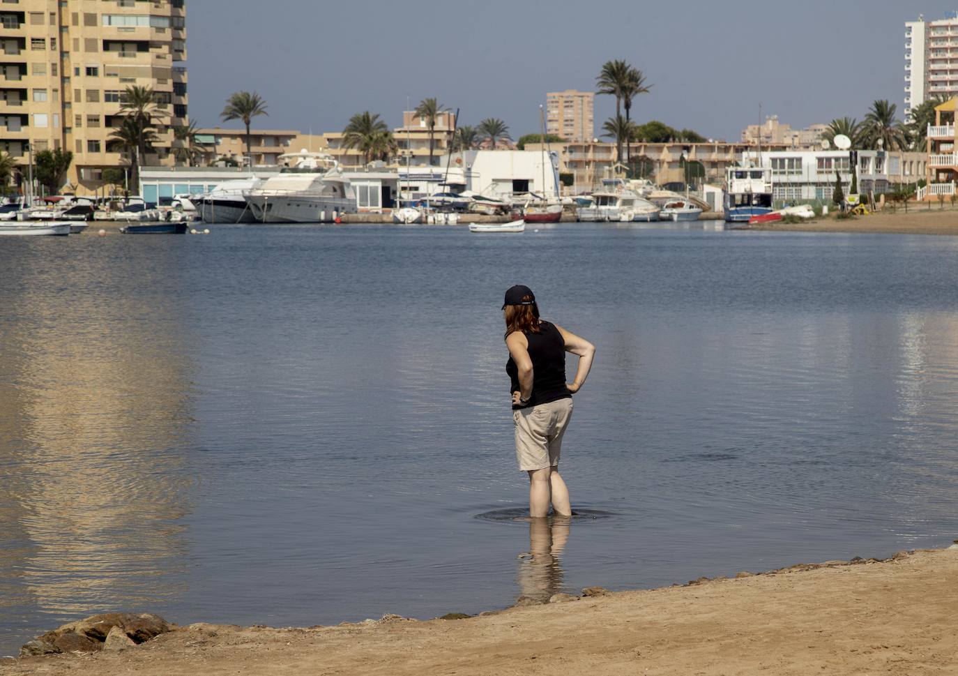 Fotos: La anoxia del Mar Menor que se sufre en tierra