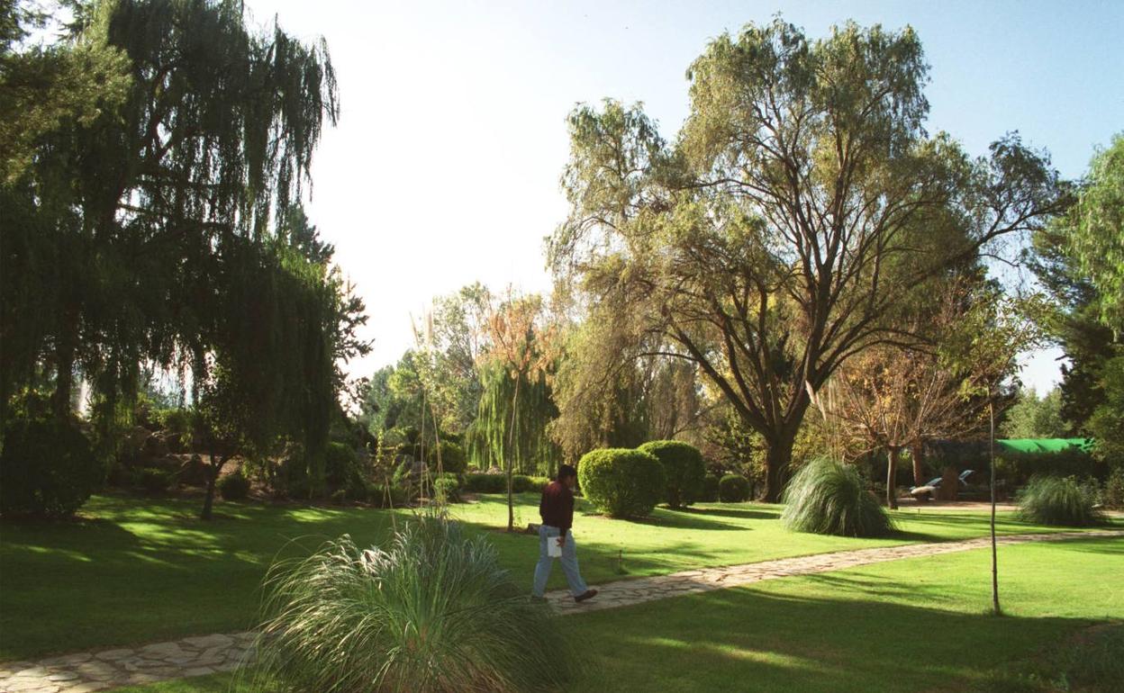 Imagen de archivo del jardín botánico de Jumilla. 