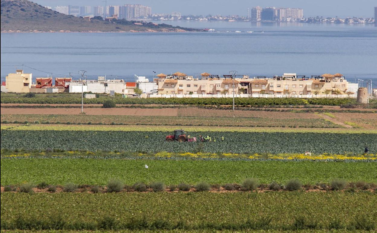 Cultivos en una franja cercana al Mar Menor, en una fotografía de archivo.