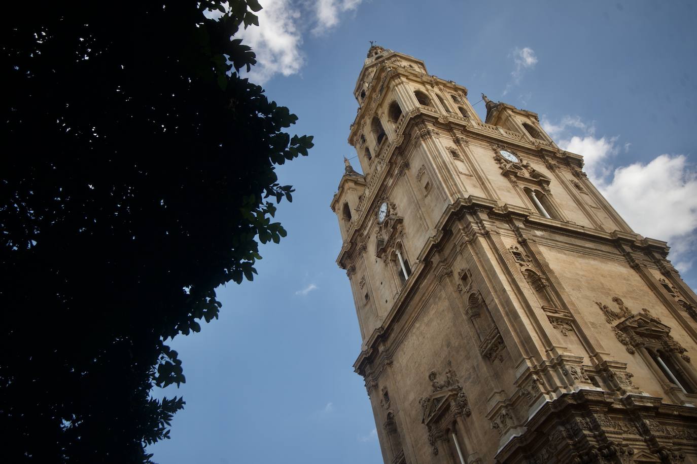 Fotos: La torre de la Catedral de Murcia, en imágenes