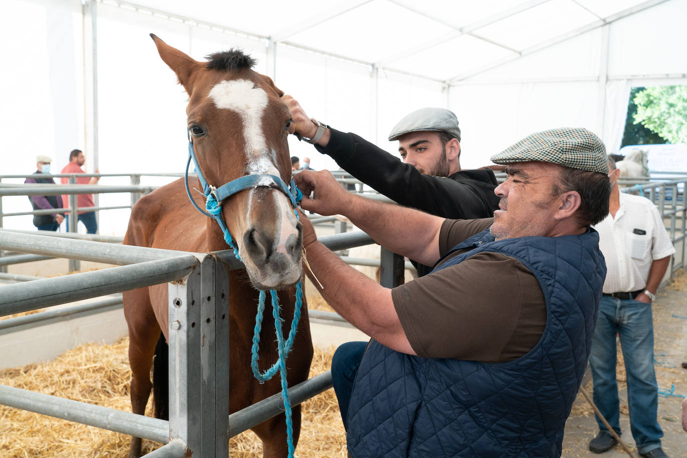 Fotos: Éxito de ventas de caballo cruzado en la Feria de Lorca