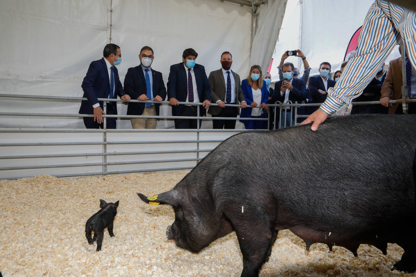 Fotos: Sepor abre su 54 edición