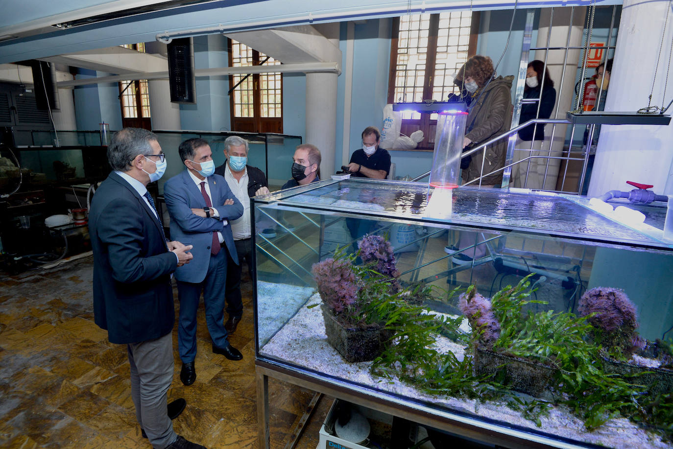 Fotos: El Acuario de la Universidad de Murcia vuelve a abrir sus puertas
