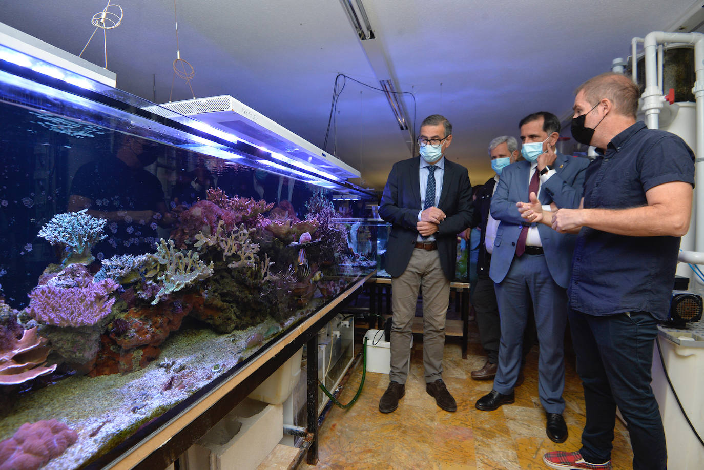 Fotos: El Acuario de la Universidad de Murcia vuelve a abrir sus puertas