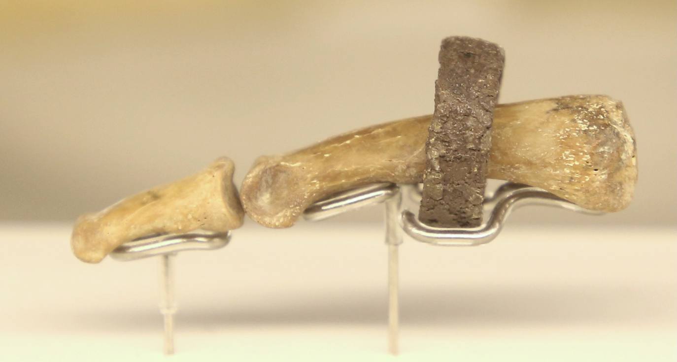 Fotos: El ajuar de La Almoloya ve por fin la luz en la Región