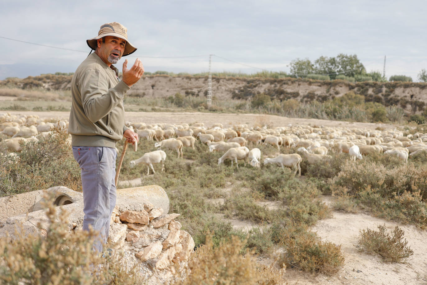 Fotos: Los pastores de la Región vuelven a sacar sus rebaños