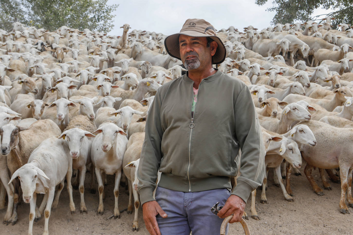 Fotos: Los pastores de la Región vuelven a sacar sus rebaños