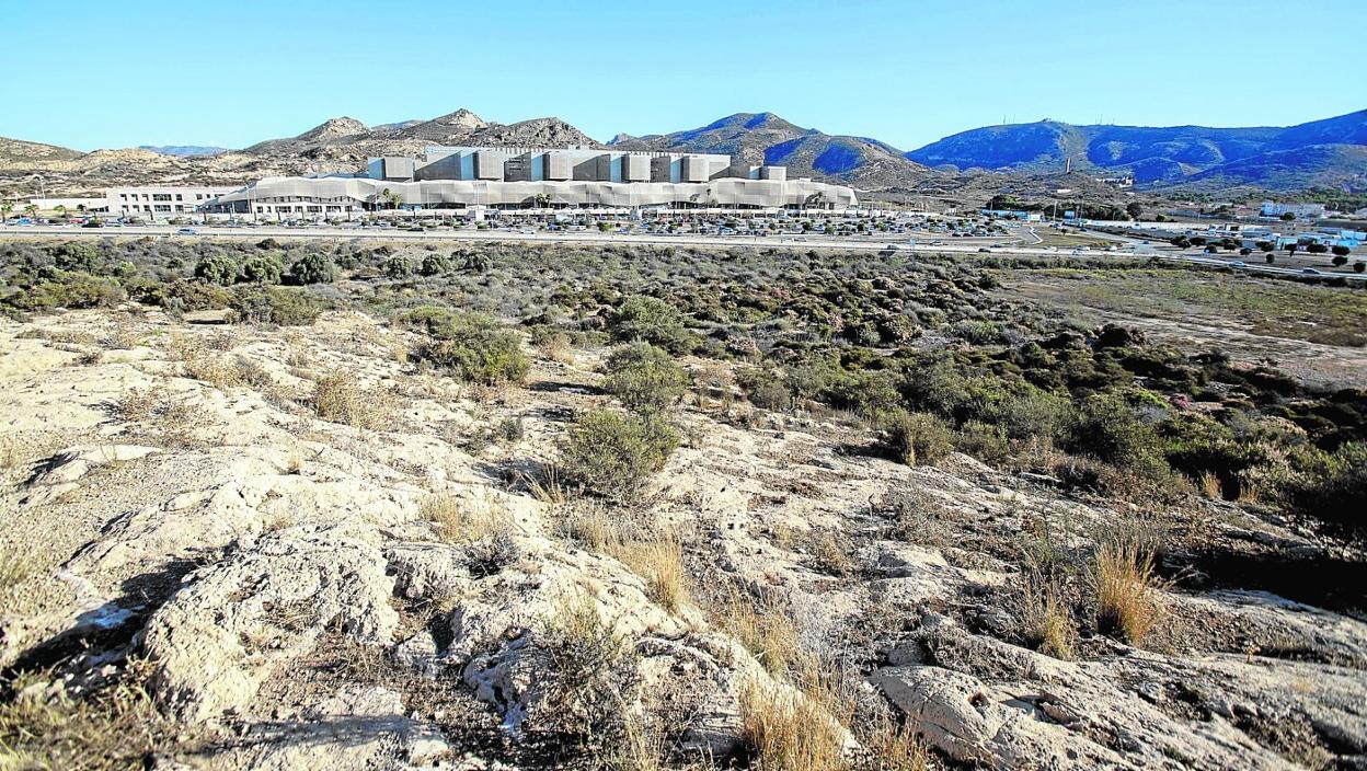 Terrenos municipales propuestos para albergar la nueva sede de los juzgados de Cartagena, frente al Hospital Santa Lucía. 