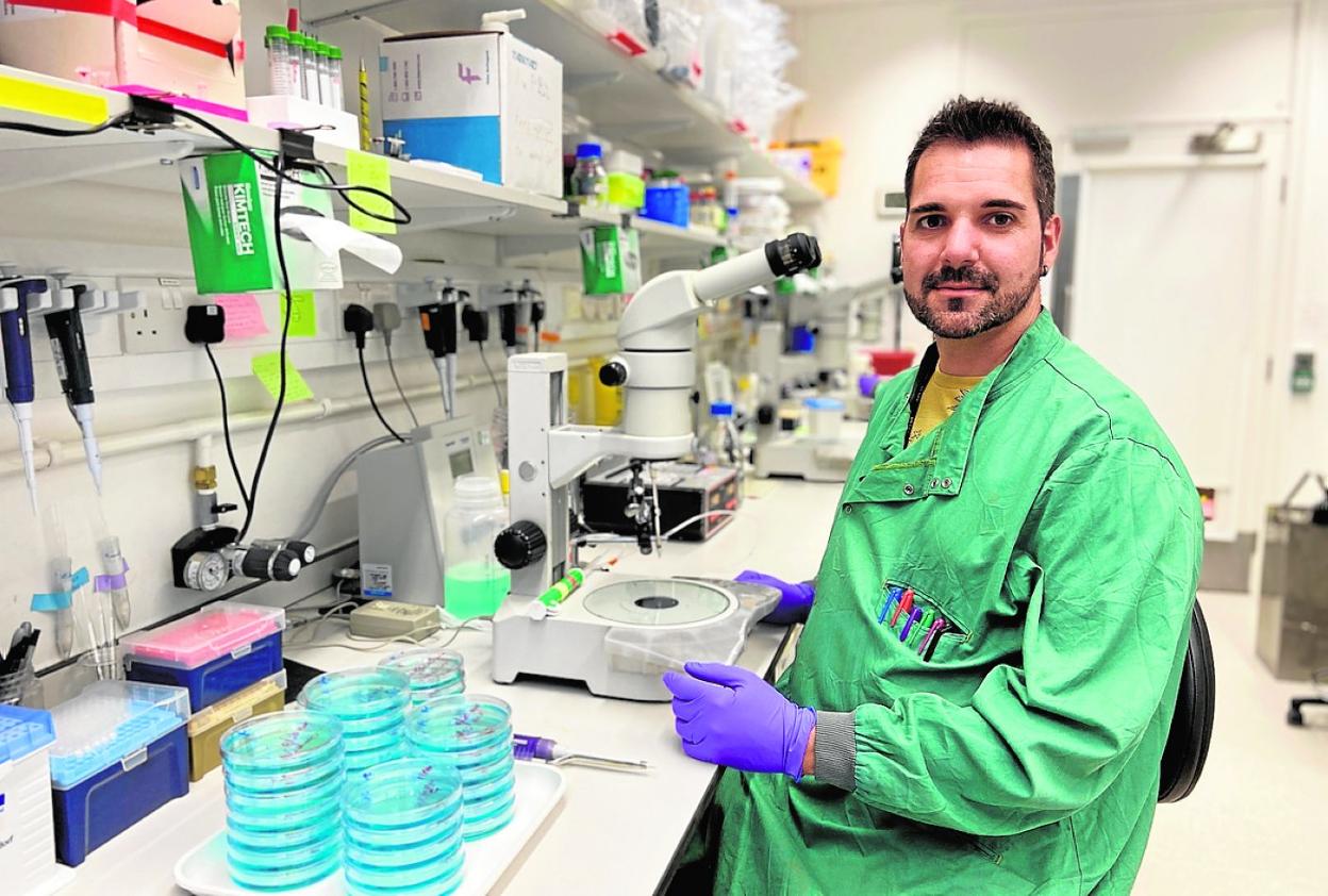 Francisco José Roca, investigador de la Universidad de Murcia, vinculado al IMIB. 