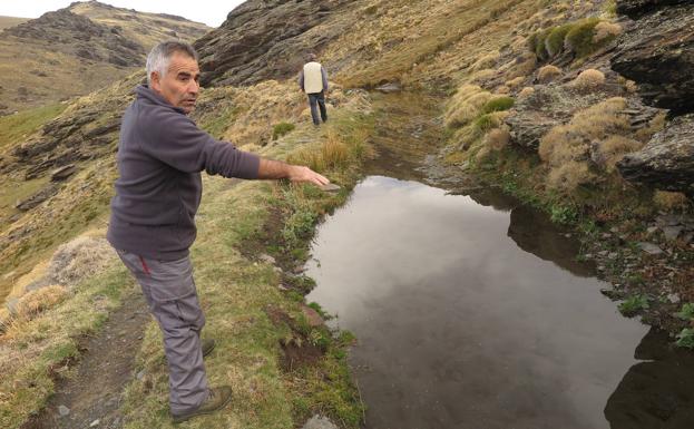 El presidente de la comunidad de regantes de Bérchules, Antonio Ortega García, en una de las acequias ancestrales de Sierra Nevada.