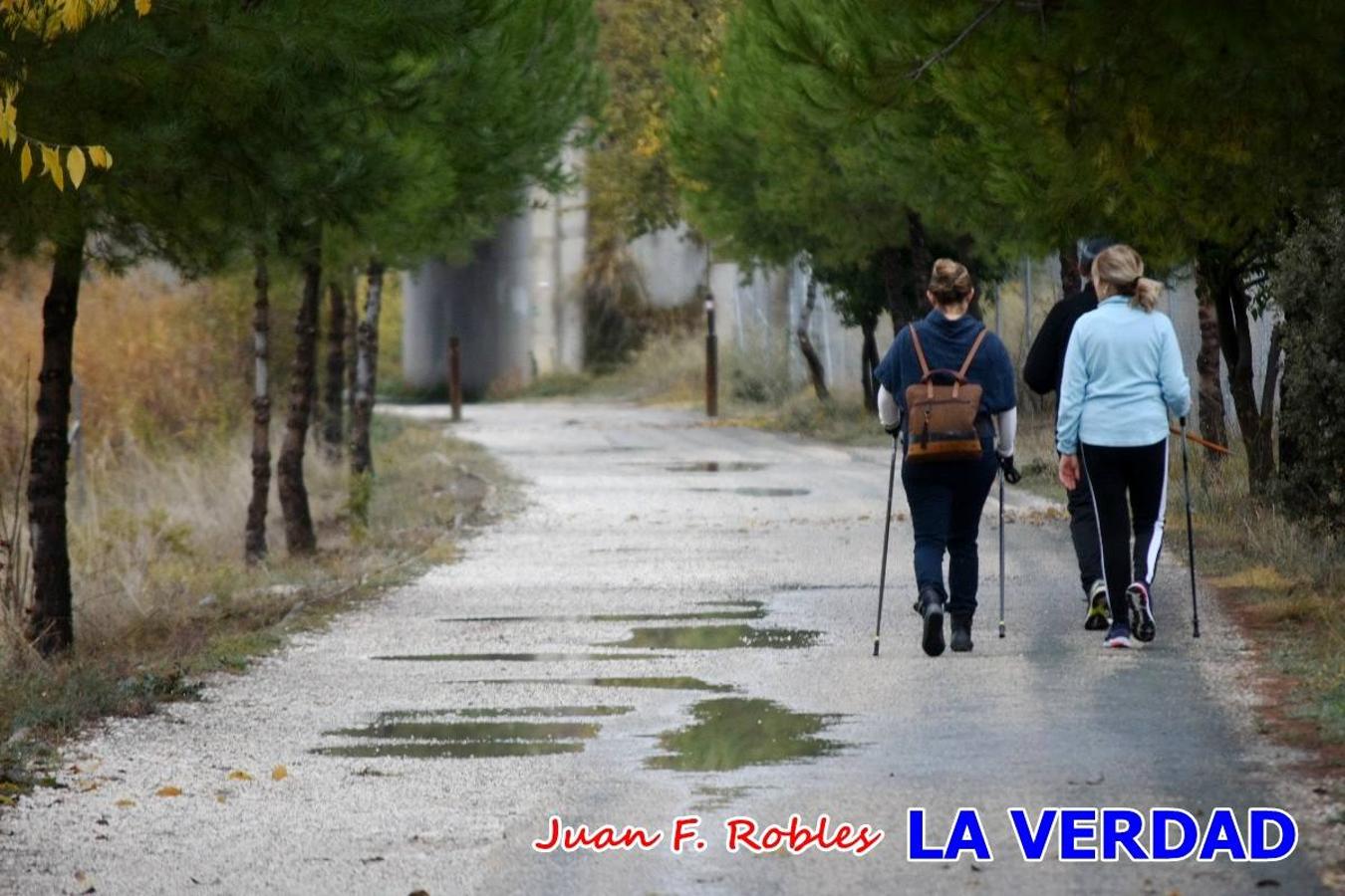 Unas 200 personas de Granja de Rocamora, Abanilla y Ulea finalizaron ayer el recorrido, a pide, de los 120 kilómetros que separan la localidad alicantina de Caravaca de la Cruz. Los cuatro municipios comparten la devoción a sendos Lignum Crucis que se veneran en cada una de las localidades. Ayer recorrieron la última etapa, desde Bullas hasta basílica de la Vera Cruz en una ceremonia oficiada por el rector, Emilio Sánchez, y en la que estuvieron presentes los representantes de las instituciones religiosas que organizaban la peregrinación y una representación de los ocho Ayuntamientos que atraviesa este camino.