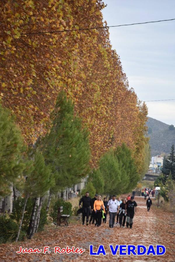 Unas 200 personas de Granja de Rocamora, Abanilla y Ulea finalizaron ayer el recorrido, a pide, de los 120 kilómetros que separan la localidad alicantina de Caravaca de la Cruz. Los cuatro municipios comparten la devoción a sendos Lignum Crucis que se veneran en cada una de las localidades. Ayer recorrieron la última etapa, desde Bullas hasta basílica de la Vera Cruz en una ceremonia oficiada por el rector, Emilio Sánchez, y en la que estuvieron presentes los representantes de las instituciones religiosas que organizaban la peregrinación y una representación de los ocho Ayuntamientos que atraviesa este camino.