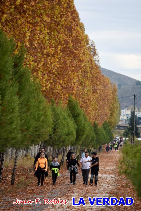 Unas 200 personas de Granja de Rocamora, Abanilla y Ulea finalizaron ayer el recorrido, a pide, de los 120 kilómetros que separan la localidad alicantina de Caravaca de la Cruz. Los cuatro municipios comparten la devoción a sendos Lignum Crucis que se veneran en cada una de las localidades. Ayer recorrieron la última etapa, desde Bullas hasta basílica de la Vera Cruz en una ceremonia oficiada por el rector, Emilio Sánchez, y en la que estuvieron presentes los representantes de las instituciones religiosas que organizaban la peregrinación y una representación de los ocho Ayuntamientos que atraviesa este camino.