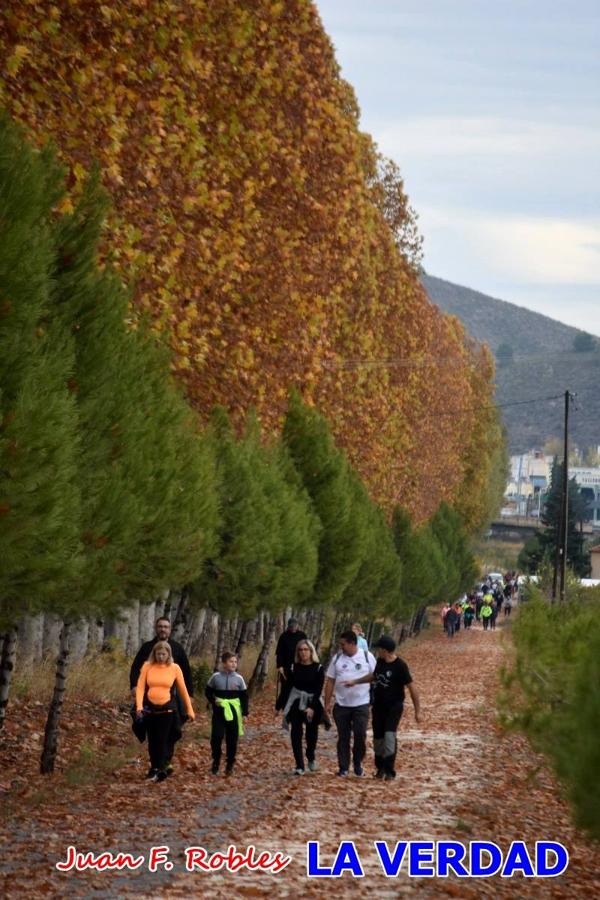 Unas 200 personas de Granja de Rocamora, Abanilla y Ulea finalizaron ayer el recorrido, a pide, de los 120 kilómetros que separan la localidad alicantina de Caravaca de la Cruz. Los cuatro municipios comparten la devoción a sendos Lignum Crucis que se veneran en cada una de las localidades. Ayer recorrieron la última etapa, desde Bullas hasta basílica de la Vera Cruz en una ceremonia oficiada por el rector, Emilio Sánchez, y en la que estuvieron presentes los representantes de las instituciones religiosas que organizaban la peregrinación y una representación de los ocho Ayuntamientos que atraviesa este camino.