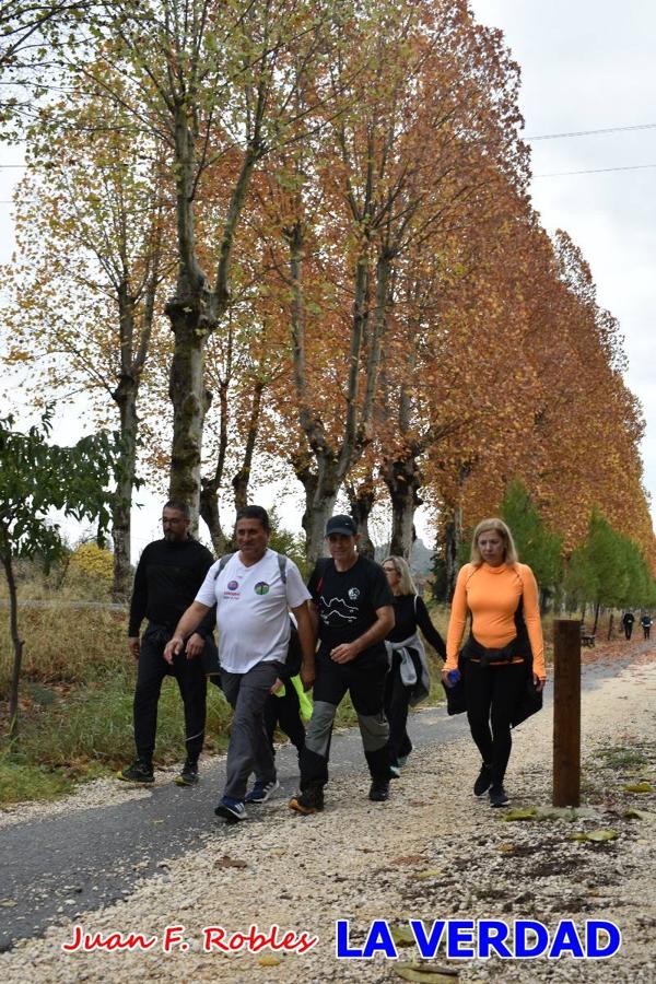 Unas 200 personas de Granja de Rocamora, Abanilla y Ulea finalizaron ayer el recorrido, a pide, de los 120 kilómetros que separan la localidad alicantina de Caravaca de la Cruz. Los cuatro municipios comparten la devoción a sendos Lignum Crucis que se veneran en cada una de las localidades. Ayer recorrieron la última etapa, desde Bullas hasta basílica de la Vera Cruz en una ceremonia oficiada por el rector, Emilio Sánchez, y en la que estuvieron presentes los representantes de las instituciones religiosas que organizaban la peregrinación y una representación de los ocho Ayuntamientos que atraviesa este camino.