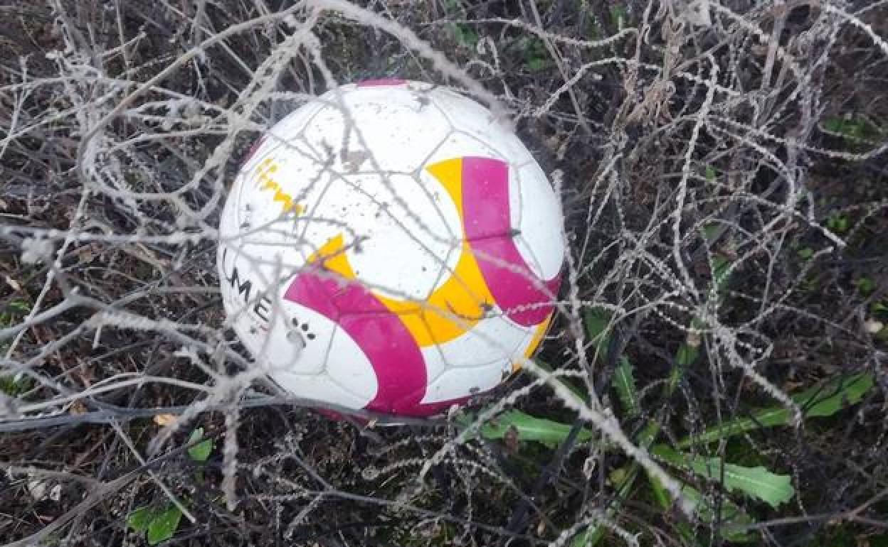 Un balón de fútbol se encuentra entre los matojos y pinchas que rodean las instalaciones del C.D. Puebla de Soto.