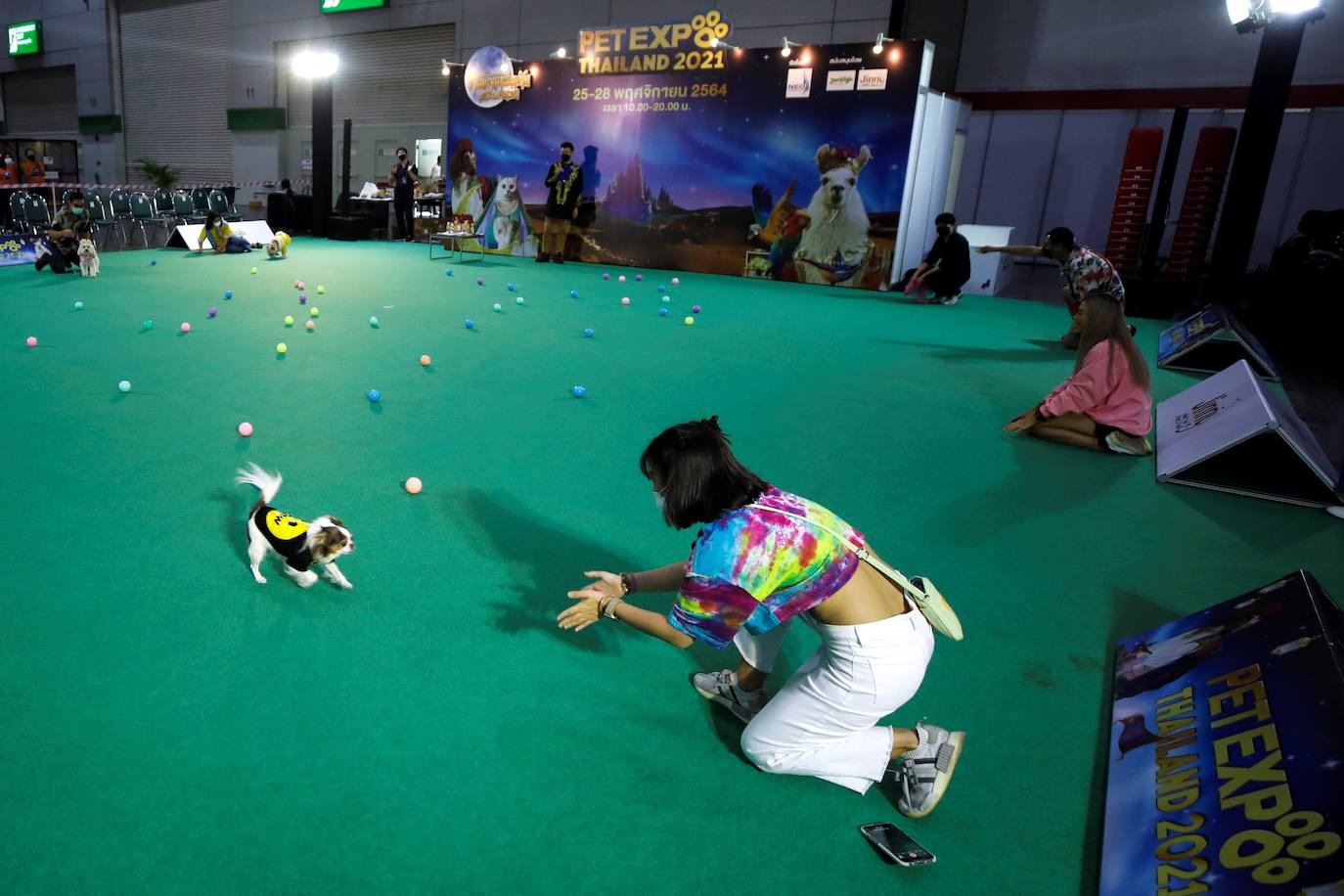 Fotos: Capricho de mascotas