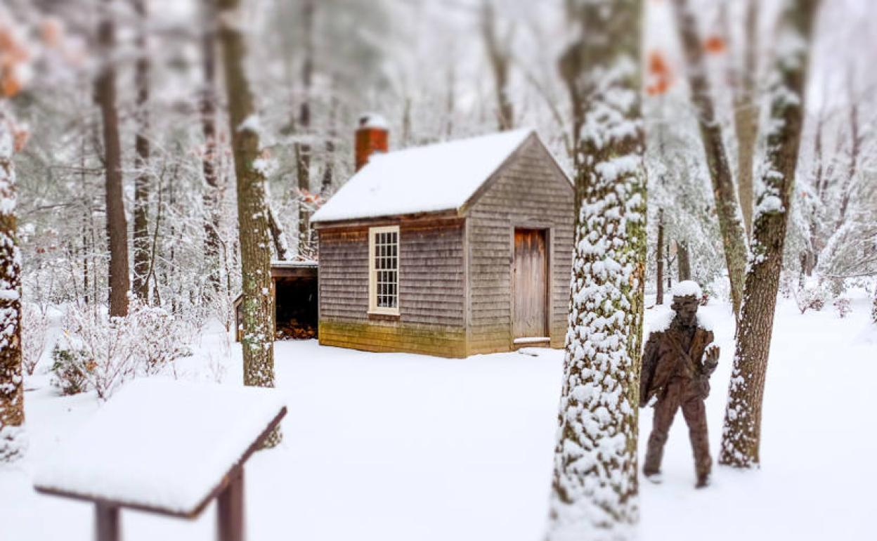 La cabaña que ocupó Henry David Thoreau, junto al lago Walden, y una estatua del escritor norteamericano bajo la nieve.