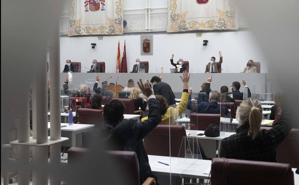 Diputados socialistas y del Grupo Mixto votan en la Asamblea contra la reforma del Reglamento.