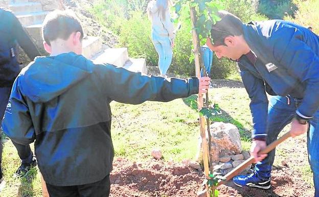 Ginés Huertas Industriales reforesta la Rambla del Cañar, un enclave natural único de la Región