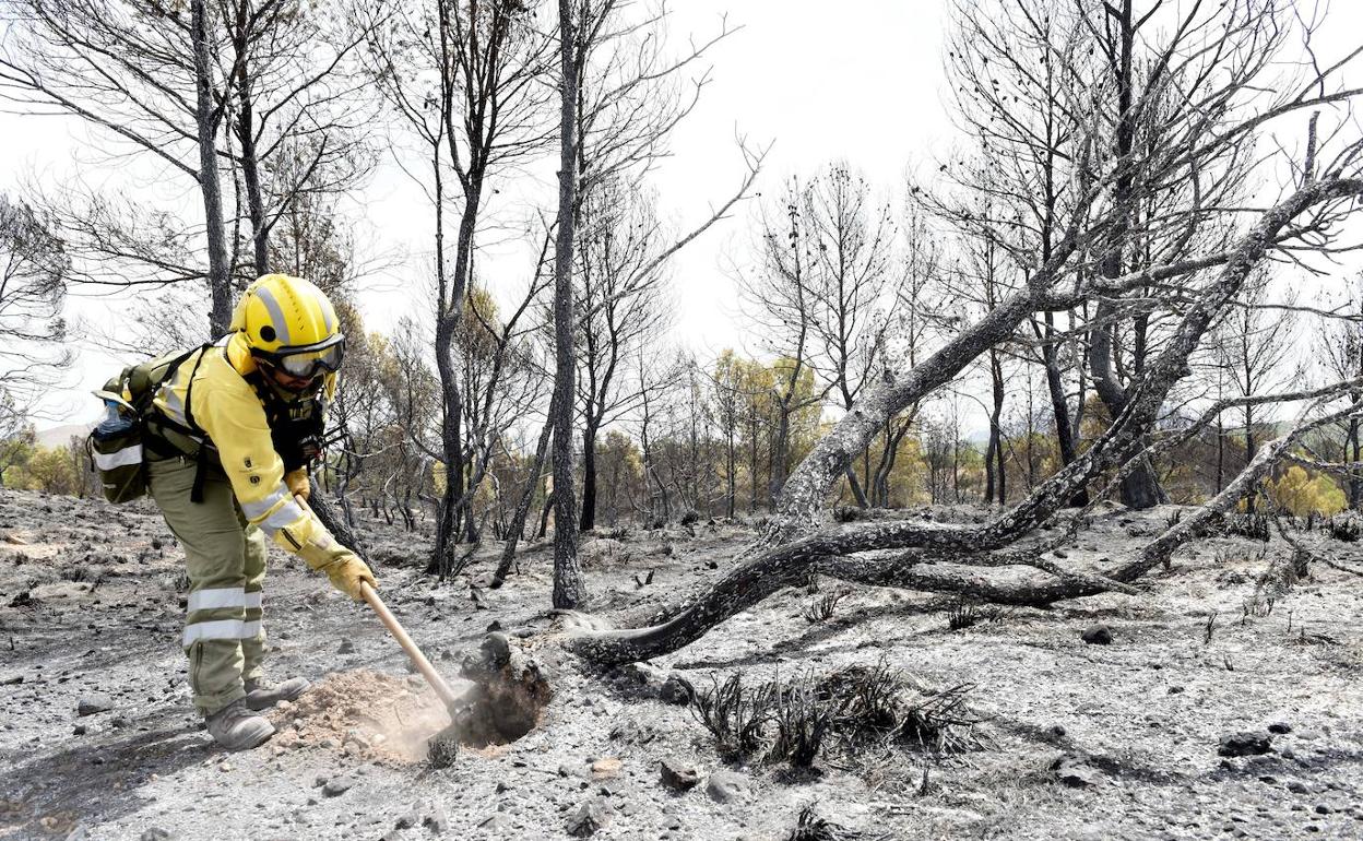 Un miembro de una brigada antiincendios trabaja en el control de un fuego en la comarca del Noroeste. La fotografía es de archivo.