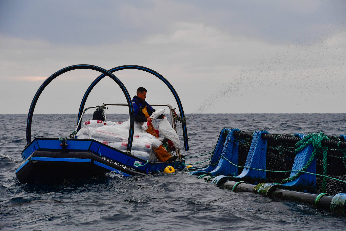 Fotos: Un sistema inteligente pionero reduce el impacto ambiental y el coste de la acuicultura